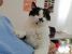 Katniss, minune dulce, de adoptat, iubit si ocrotit